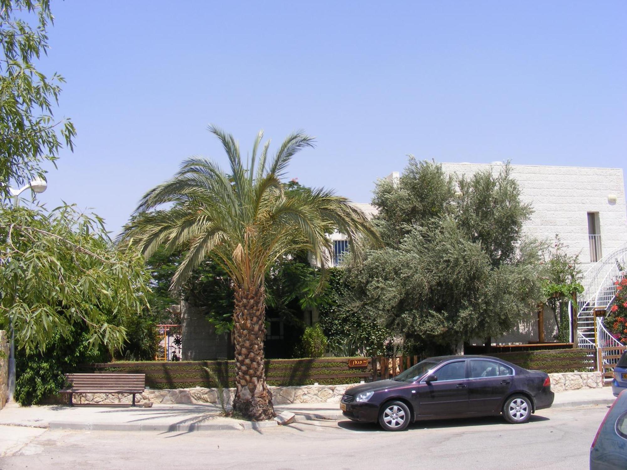 Nof Canaan Kfar Adumim Ngoại thất bức ảnh